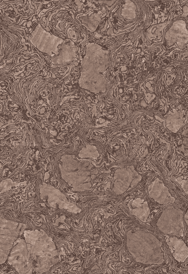 Stellar Bronze - 1671 A-154