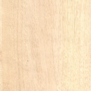 Pure Wood Bleeched - 5243 SF