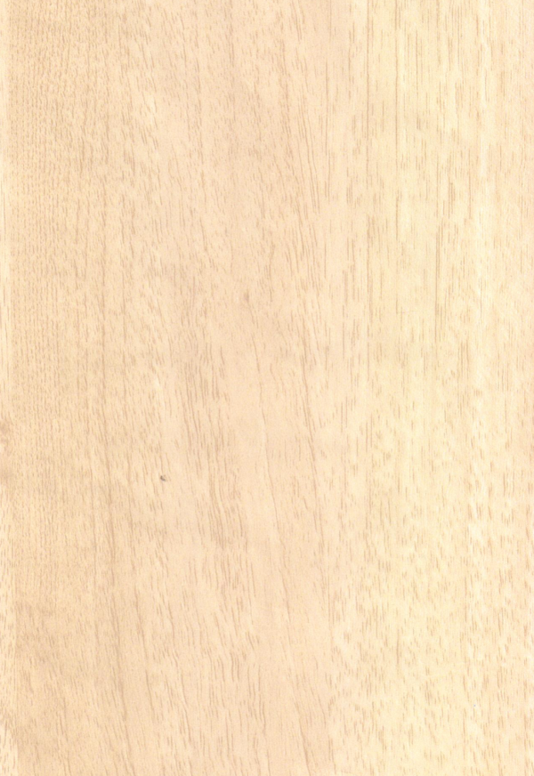 Pure Wood Bleeched - 5243 SF