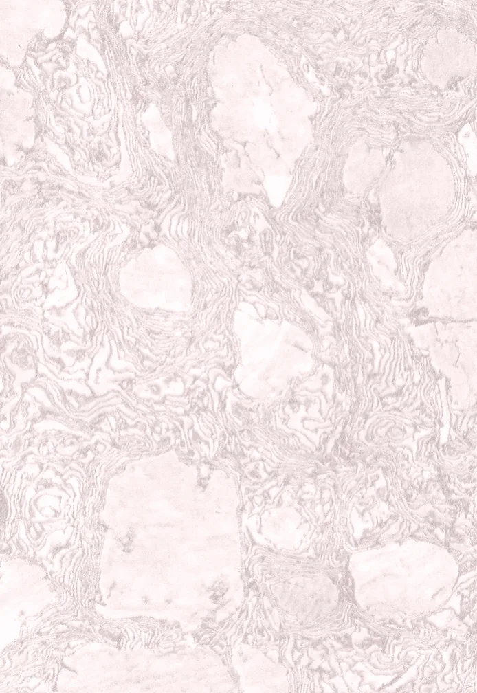 Light pink and white marble texture with swirling veins and organic patterns.