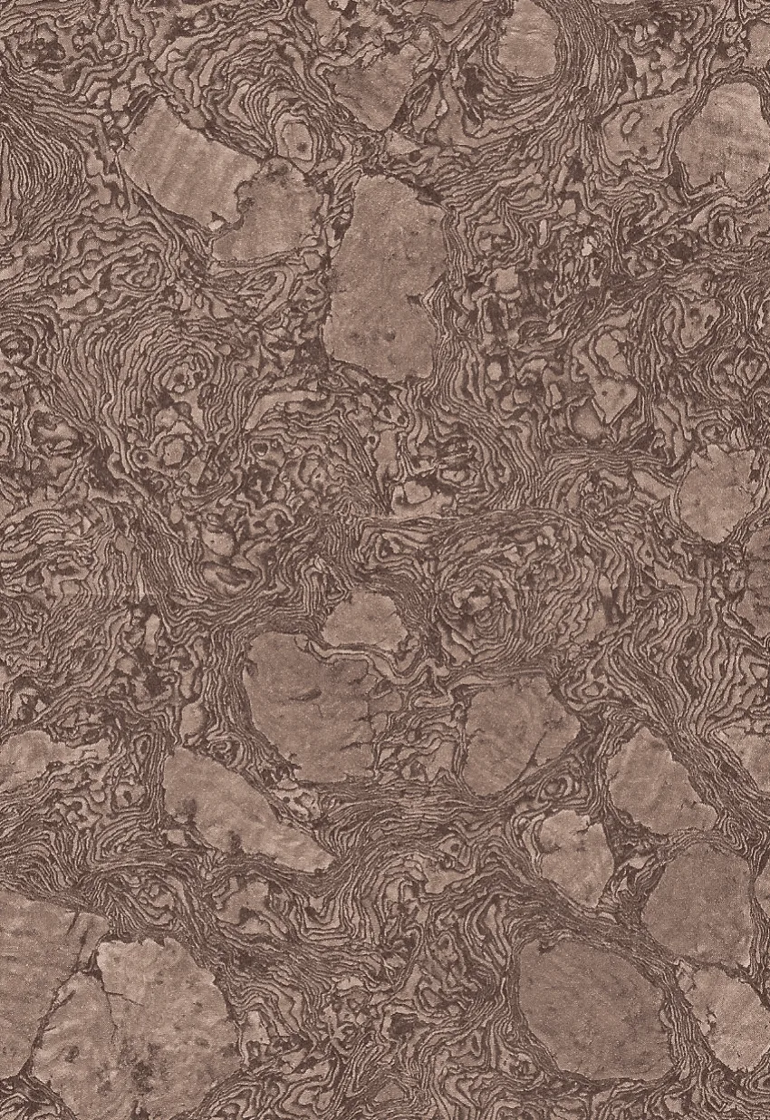 Brown marble texture with intricate swirling veins and irregular stone patches.