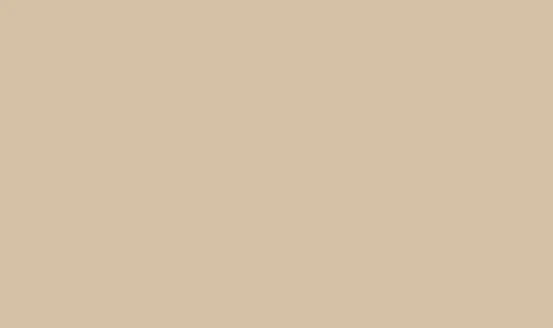A solid, plain light brown background.