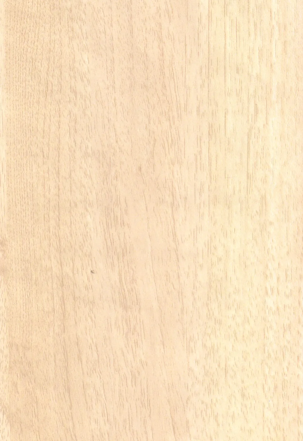 Light-colored natural wood grain texture with subtle vertical patterns.