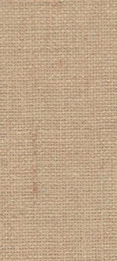 Close-up of beige textured paper with blurred, faded brown text.