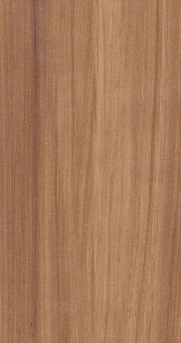 Acacia Wood 1543-SF عينة تشطيب