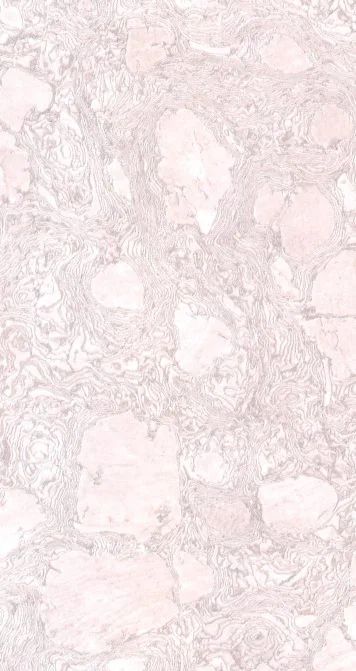 Ivory Angel 1670-A-154 finish sample
