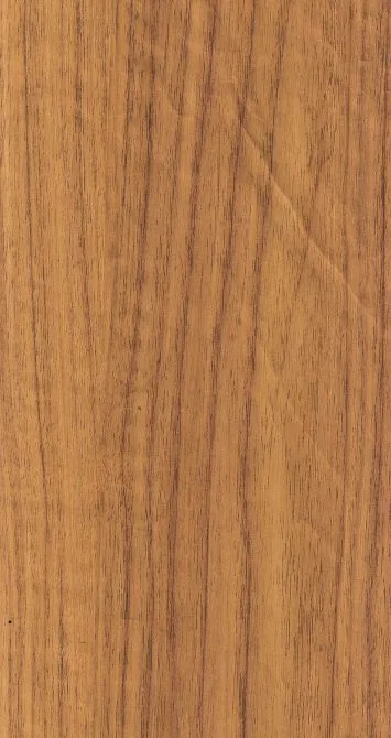 Modern Ebony 5339-SF नमूना समाप्त करें
