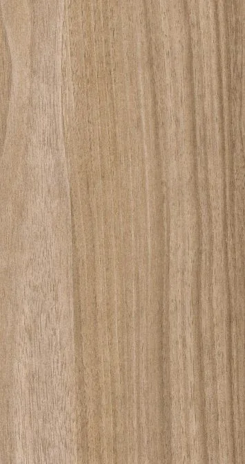 Titter Walnut 9501-A-118 عينة تشطيب